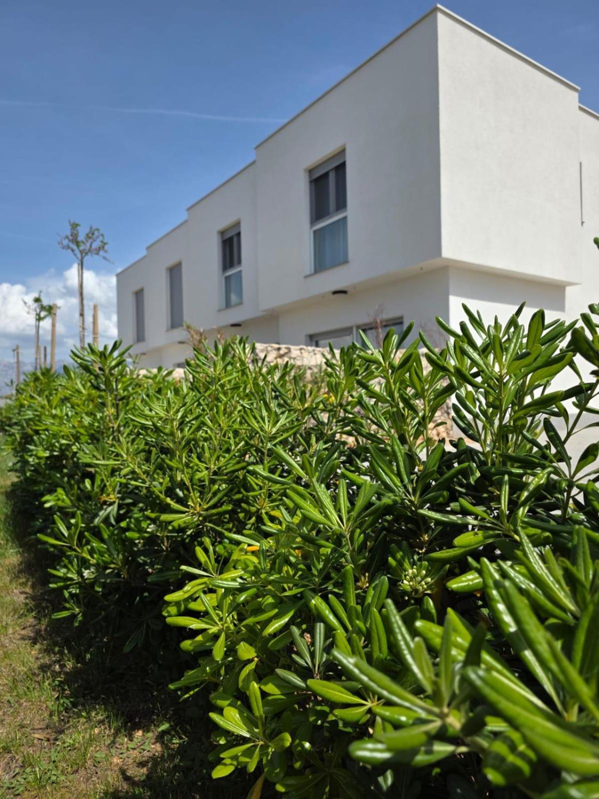 Villa Bura House Povljana Esterno foto